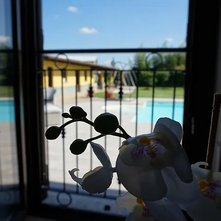 Le Palme Apartahotel Torrazza Piemonte